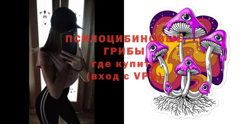 Галлюциногенные грибы Magic Shrooms  Елабуга 